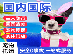 泉州晋江空运地址国际宠物托运 【国